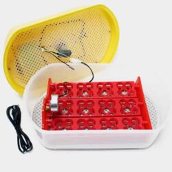 Rugemaskine, automatisk klækker til 12 æg