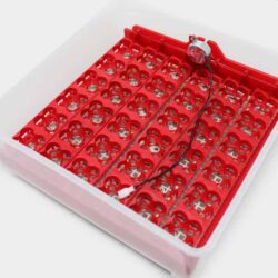 Incubatrice, schiusa automatica per 36 uova