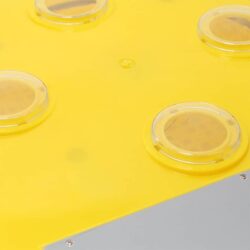 Incubator, automatic hatcher for 36 eggs