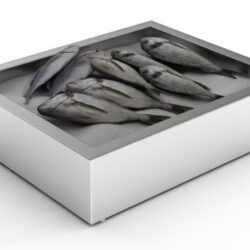 Bac à glace pilée CS 2/1 GN