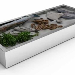 Bac à glace pilée CS 4/1 GN